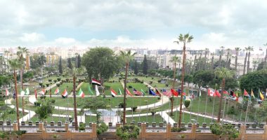 جامعة المنصورة