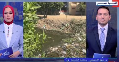 حازم الأشمونى