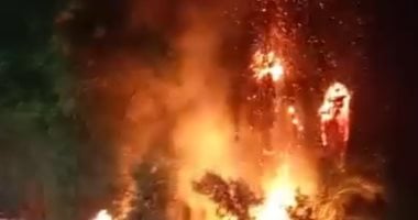 السيطرة على حريق نشب بأشجار فى طريق الأربعين بقنا جانب من الحريق