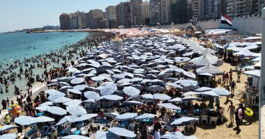 ذروة موسم المصيف والموجة الحارة.. شواطئ الإسكندرية كامل العدد.. توافد كبير لرحلات اليوم الواحد من المحافظات.. رفع الراية الخضراء شرقا و الصفراء غربا.. و"السياحة والمصايف" تحذر من نزول البحر بعد 7 مساء.. صور 