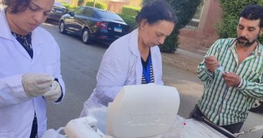 محافظة الجيزة: تجهيز شلتر إمبابة لإطلاق برنامج تعقيم الكلاب الضالة تجهيز شلتر إمبابة لإطلاق برنامج تعقيم الكلاب الضالة