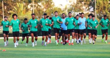 المصرى