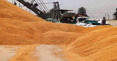 محافظ سوهاج: استقبال أكثر من 183 ألف طن قمح بالصوامع حتى الآن القمح