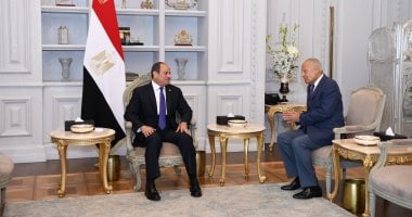 الرئيس عبد الفتاح السيسي وأحمد أبو الغيط