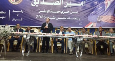 رئيس الهيئة البرلمانية لحزب حماة الوطن في مجلس الشيوخ: الانتخابات التزام دستوري