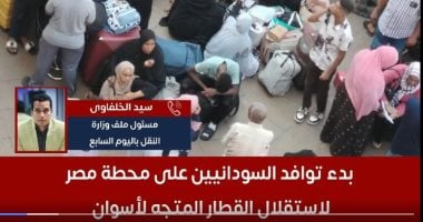 تفاصيل توافد السودانيين على محطة مصر لاستقلال القطار للعودة الطوعية لوطنهم توافد السودانيين على محطة مصر