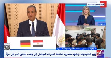 أستاذ علوم سياسية: جرائم إسرائيل فى غزة ممنهجة والمجتمع الدولى مطالب بردعها
