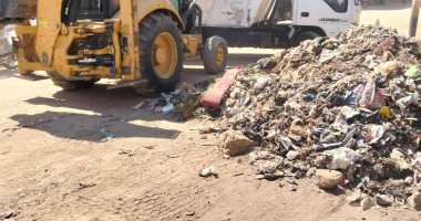 رفع 8 أطنان قمامة ومخلفات فى حملة بمركز طما بسوهاج جانب من رفع القمامة