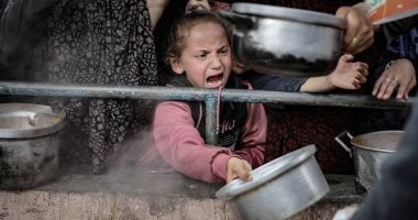الفتاة الفلسطينية ديما النجار تكشف لـ"تليفزيون اليوم السابع" الوضع المأساوى فى غزة: الطحين مش موجود والناس بتموت من الجوع.. دي أسوأ حرب مر بيها القطاع على الإطلاق.. ولسه على أمل نرجع فلسطين لأنها أرض رباط طفلة فى غزة تبكى من الجوع