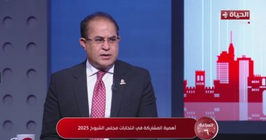 النائب سليمان وهدان أمين الشئون البرلمانية بحزب الجبهة الوطنية