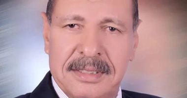 أمين الجبهة الوطنية بالوادى الجديد: ثورة يوليو سببا محوريا لوجود المحافظة