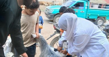 قافلة بيطرية مجانية بالحسينية ضمن مبادرة تنمية الريف