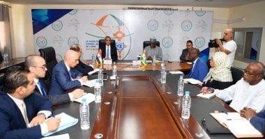 مشاورات سياسية بين وزيرى خارجية مصر والنيجر فى نيامى المشاورات بين مصر ونيامي