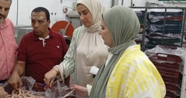 محاقظ الدقهلية ضبط 7 أطنان مصنعات لحوم غير صالحة للاستهلاك بجمصة