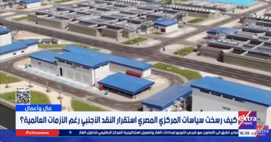 "اكسترا نيوز" تستعرض نجاح البنك المركزي في تحقيق فائض تاريخي بالأصول الأجنبية