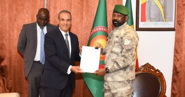وزير الخارجية يلتقى رئيس جمهورية مالى ويسلم رسالة خطية من الرئيس السيسى وزير الخارجية يلتقي رئيس جمهورية مالي