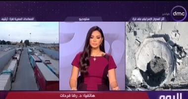 رضا فرحات: مصر الداعم الأساسى لكل تحرك دولى يهدف لرفع المعاناة عن غزة