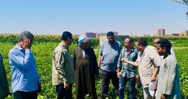 وكيل زراعة سوهاج متابعة ميدانية لزراعات فول الصويا