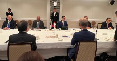 وزير الاستثمار: فرص استثمارية متميزة فى مصر بقطاعات السيارات والإلكترونيات