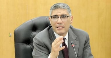المهندس عادل النجار محافظ الجيزة