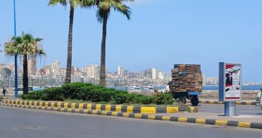 طقس الإسكندرية.. أجواء شديدة الحرارة والعظمى تسجل 34 درجة.. فيديو