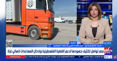 الدكتور محمد صادق إسماعيل مدير المركز العربي للدراسات السياسية