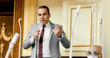 برلماني: دعوات التظاهر أمام السفارات المصرية بالخارج تفضح نوايا الإرهابية