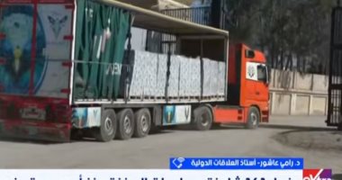 خبير: يجب الضغط على أمريكا لمنع استهداف الفلسطينيين خلال تلقى المساعدات