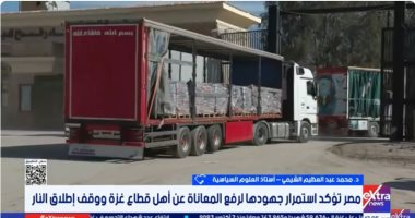 أستاذ علوم سياسية: مصر تواصل إدخال المساعدات لرفع المعاناة عن أهل غزة