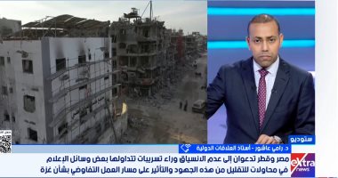 رامى عاشور: مصر تعطل أهداف الإبادة فى غزة وتحافظ على بقاء النبض الفلسطينى