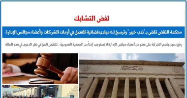 عن أزمات الشركات.. محكمة النقض تقضى بـ"ندب خبير" وترسخ لـ6 مبادئ قضائية.. برلمانى