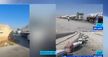جمال ريان: مصر تقود الضغوط الدولية لإدخال مساعدات لغزة وتغيير المواقف العالمية إدخال مساعدات لغزة
