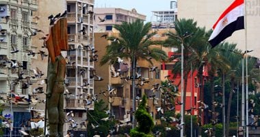 الحمام رمز السلام والصمود والإصرار.. ميدان الشهداء أيقونة استقبال الزوار ببورسعيد ميدان الشهداء ببورسعيد