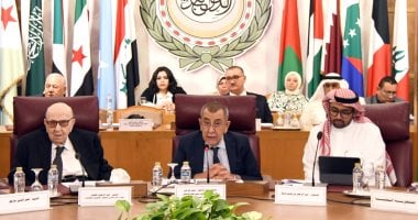 أبو الغيط يؤكد دعم الجامعة العربية للمسار القانوني لمحاسبة الاحتلال جانب من الندوة