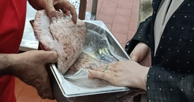 محافظة الجيزة تضبط 11 طن و500 كجم مصنّعات وهياكل دواجن فاسدة