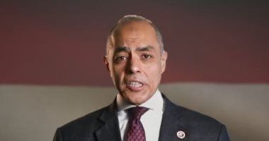 المدير التنفيذى للهيئة الوطنية للانتخابات للمصريين بالخارج: صوتك أكيد بيصنع فرق