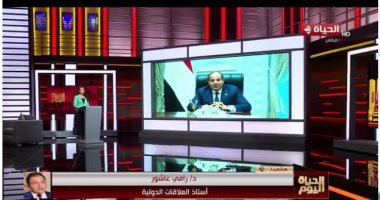 خبير: كلمة الرئيس السيسى جاءت فى وقتها للرد على تشويه مجهودات مصر فى دعم القضية مداخلة الدكتور رامى عاشور أستاذ العلاقات الدولية