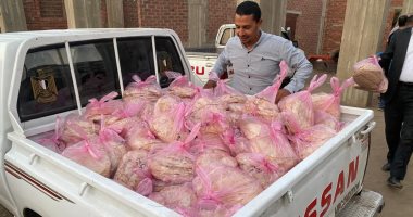 محافظ الدقهلية: ضبط 6600 رغيف خبز مدعم قبل تهريبها للسوق السوداء