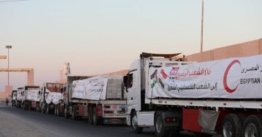 "عشائر غزة": شكرا مصر والرئيس السيسي على دعم شعبنا.. فيديو المساعدات المصرية لغزة