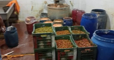 غلق 7 محال إدارياً بسبب خطورتها على الصحة العامة فى رأس البر