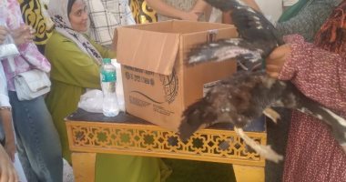 تحصين  210 ألاف رأس ماشية من الحمى القلاعية فى كفر الشيخ