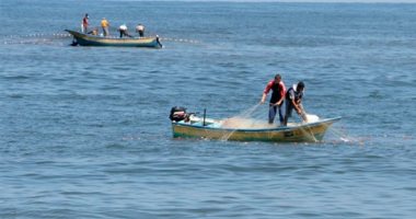 20 مهمة لهيئة حماية البحيرات والثروة السمكية يوضحها القانون