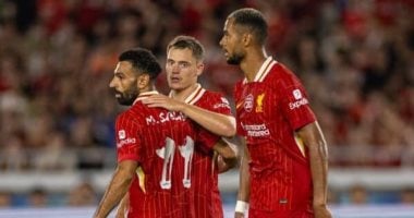 احتفال لاعبى ليفربول بهدف فيرتز