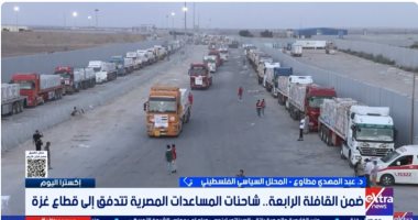 خبير فلسطينى: مصر تقدم مساعدات إنسانية لغزة منذ بداية الأزمة