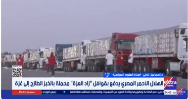 أستاذ علوم سياسية: مصر تتحرك على كافة المستويات لدعم الشعب الفلسطينى