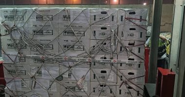  انطلاق أول شحنة تقاوي بطاطس ميني تيوبر إلى أوزبكستان