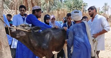 قافلة بيطرية مجانية بقرى كوم أمبو ودراو لخدمة المربين قافلة بيطرية