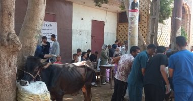قوافل بيطرية مجانية تعالج 12 ألف حالة فى يوليو لتعزيز الأمن الغذائى بأسيوط