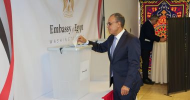 وزير الخارجية بدر عبد العاطي