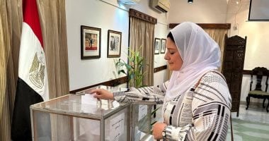 سفارة نيودلهى